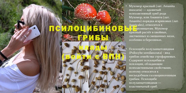 тгк Красноперекопск