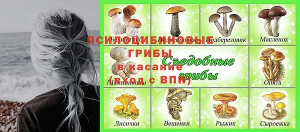героин Абаза