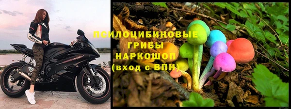 индика Краснослободск