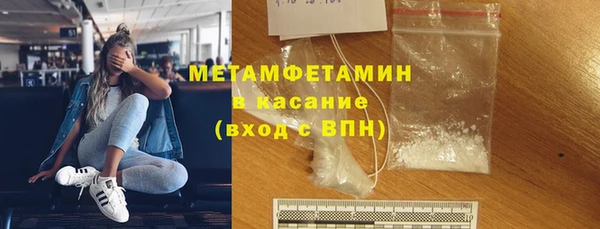 индика Краснослободск