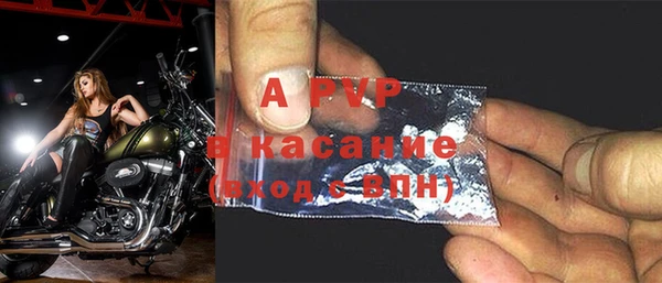 индика Краснослободск
