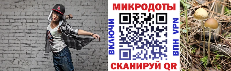 магазин  наркотиков  Ак-Довурак  Псилоцибиновые грибы прущие грибы 